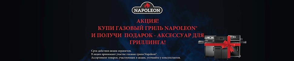 Газовые грили Napoleon в Новосибирске